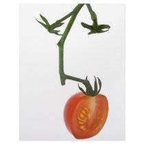Half vine tomato custom letterhead