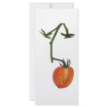 Half vine tomato rack card design
