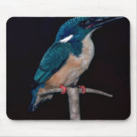 Halfcollared Kingfisher Mousepads