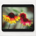 halfdaisy mousepad