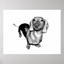 Halftone Black and White Photo Dachsund Doxie Poster