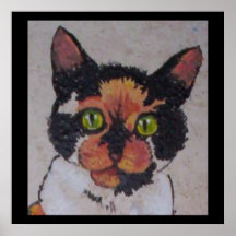 Hall cat posters