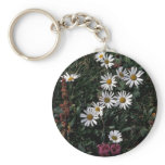 Hall Island wildflowers, Arctic daisy , Lousewort Key Chains