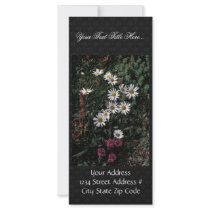 Hall Island wildflowers, Arctic daisy , Lousewort Rack Card
