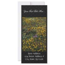 Hall Island wildflowers, Bog Saxifrage Full Color Rack Card