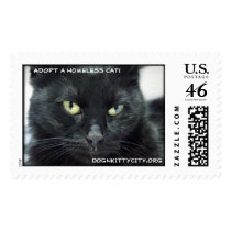 Halle - Adopt A Homeless Cat! Stamp by Humane_Society Halle - Adopt A Homeless Cat! Stamp