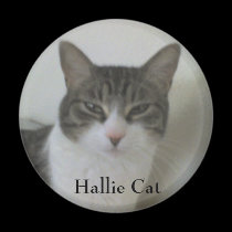Hallie Cat Magnet
