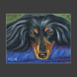 Hallie - Dachshund Dog Breed Art Post Cards