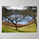 "Hallowed Ground" Print