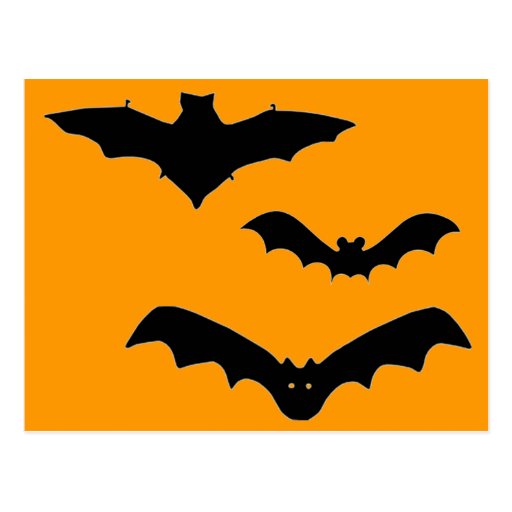 Halloween Bats Postcard