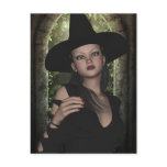 Halloween Beautiful Witch Postcard