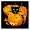 Halloween Black Cat and Pumpkins poster posters