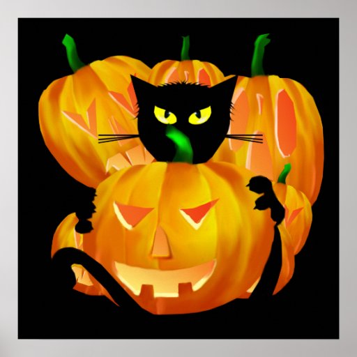 Halloween Black Cat and Pumpkins poster