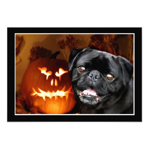 Halloween Black Pug party invitation