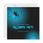 Halloween Black Spider on Web