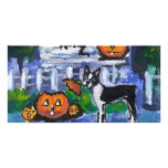 Halloween Boston Terrier mischief Photo Cards