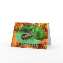 Halloween Box Elder Bug Card