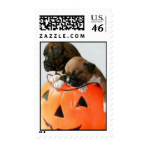 Halloween boxer puppies postage
