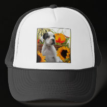 Halloween boxer puppy hats
