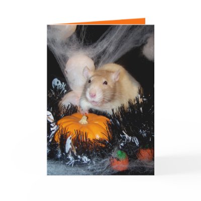Halloween Card