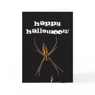 Halloween Card Spider card