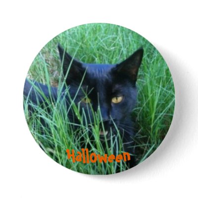 Halloween Cat buttons