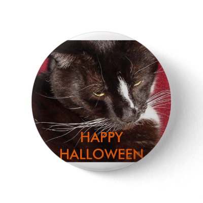 HALLOWEEN CAT buttons
