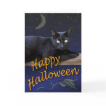Halloween Cat Card