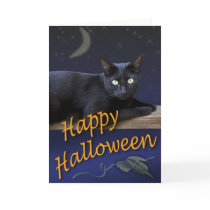 Halloween Cat Card