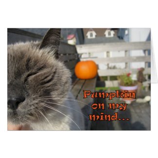 Halloween Cat Card, cat greeting cards