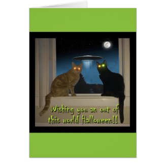 Halloween Cat Card with black & orange cats, cat greeting cards