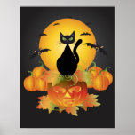 Halloween Cat on Carved Pumpkin Poster