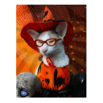 Halloween Cat postcards