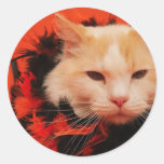 Halloween Cat Round Stickers