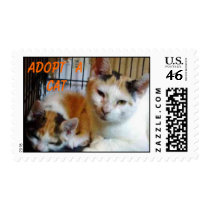 Halloween Cats Postage postage