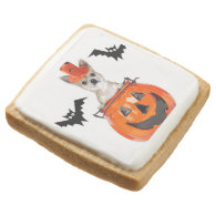 Halloween chihuahua dog square premium shortbread cookie