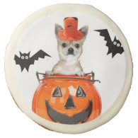 Halloween chihuahua dog sugar cookie