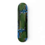Halloween display, goblin skate deck