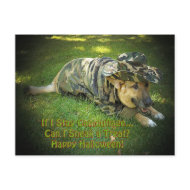 Halloween Dog in Camouflage postcard