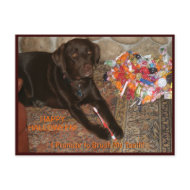 Halloween Dog with Sweet Tooth postcard