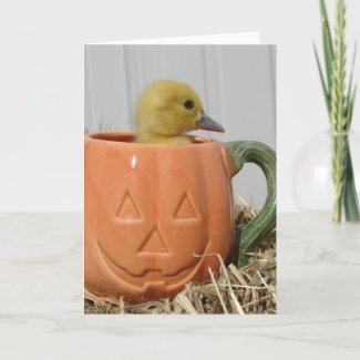 Halloween Duckling card