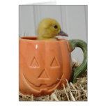 Halloween Duckling Cards