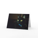 Halloween Eyes cards