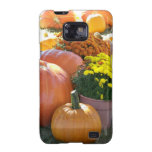Halloween Fall Scene Samsung Galaxy S2 Cases