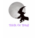 Halloween Flying Witch kids t-shirts