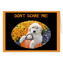 Halloween Funny Puppy Witch T-Shirts & Gift Items Greeting Card