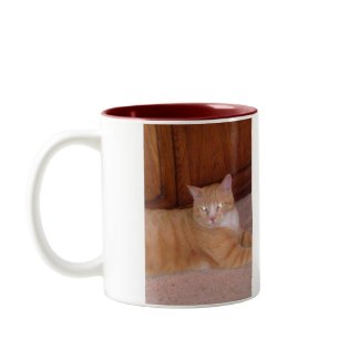 Halloween Jack-O-Cat Mug mug