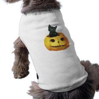 Halloween Jack-o-Lantern & Cat petshirt