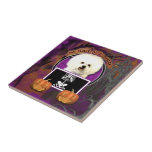 Halloween - Just a Lil Spooky - Bichon Frise Tiles