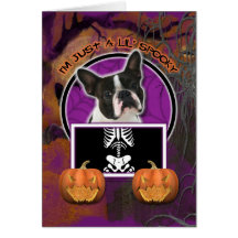 Halloween - Just a Lil Spooky - Boston Terrier Greeting Cards